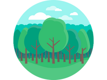 trees