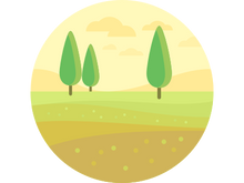 trees