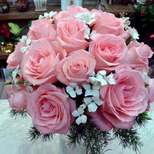 Olga's product 1