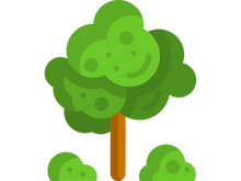 trees