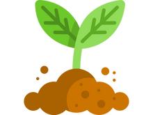 sprout