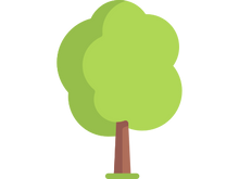 trees