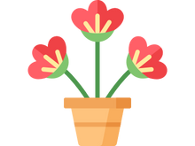 flower in a pot