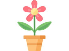 flower in a pot