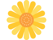 beautiful flower for your garden in our shop