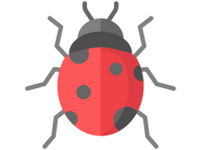 bug