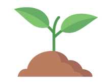 sprout